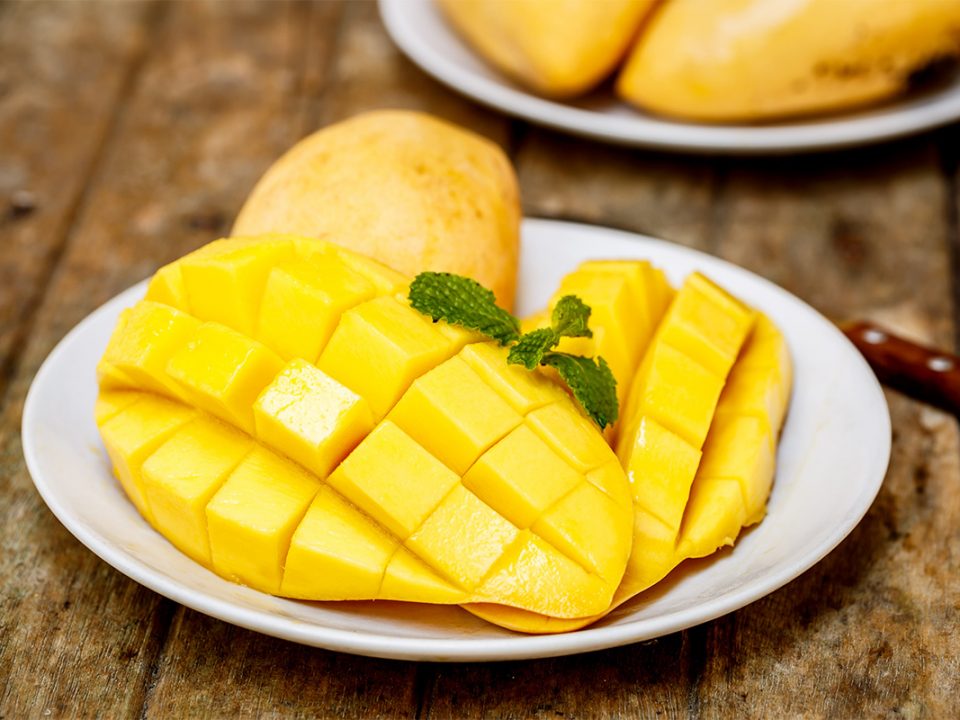 Jenis Mangga