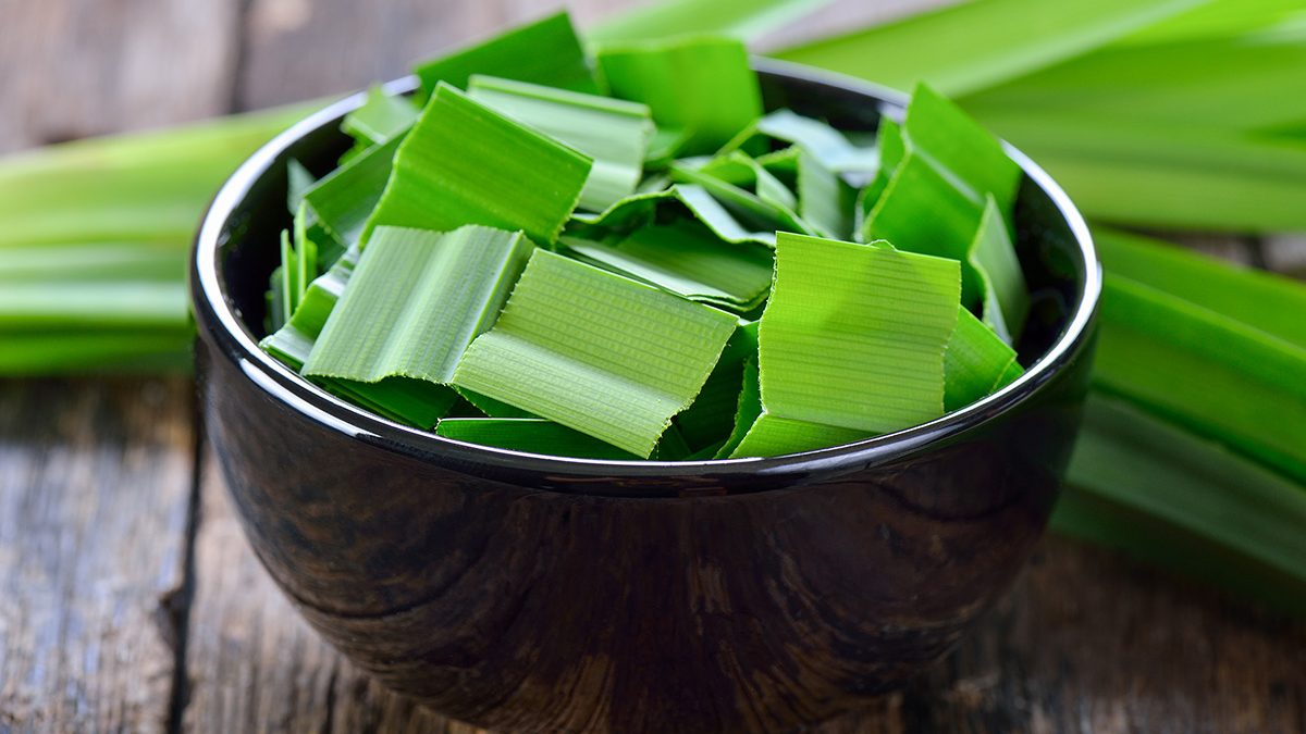 Manfaat Daun Pandan