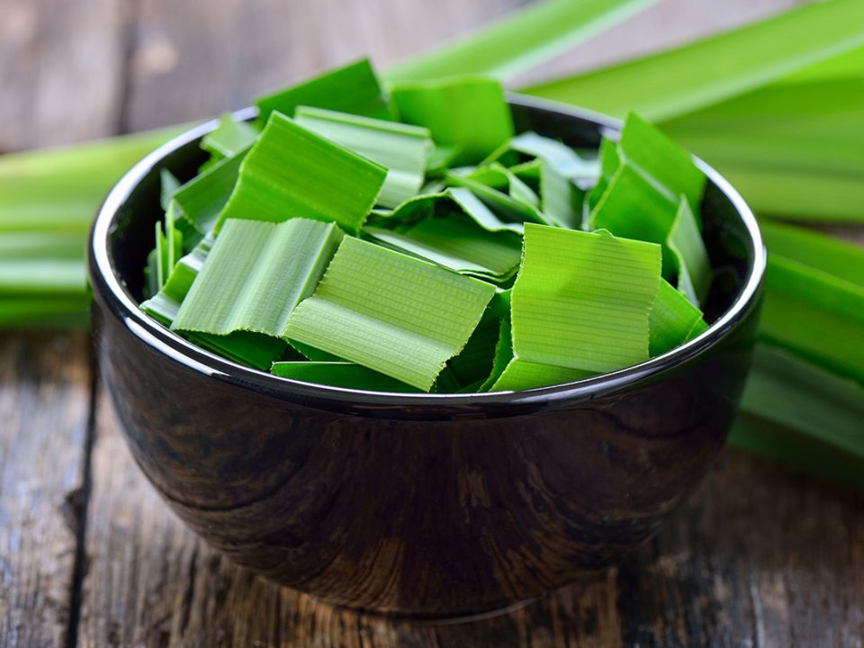 Manfaat Daun Pandan
