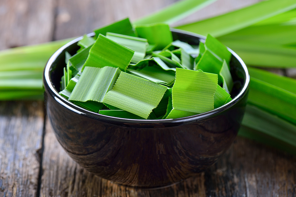 Manfaat Daun Pandan