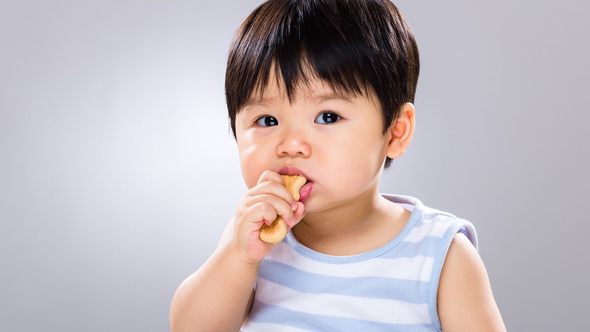 Biskuit bayi