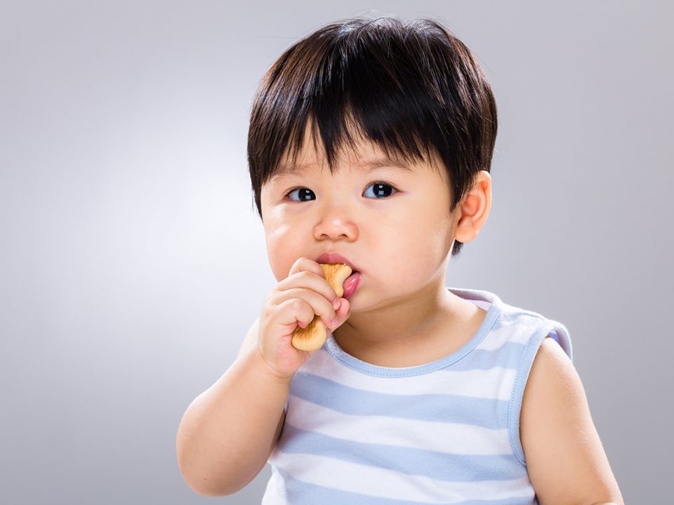 Biskuit bayi