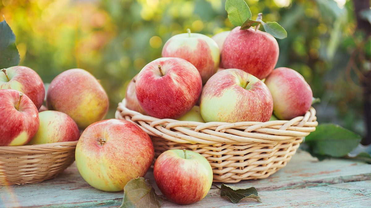 Buah Untuk Diabetes