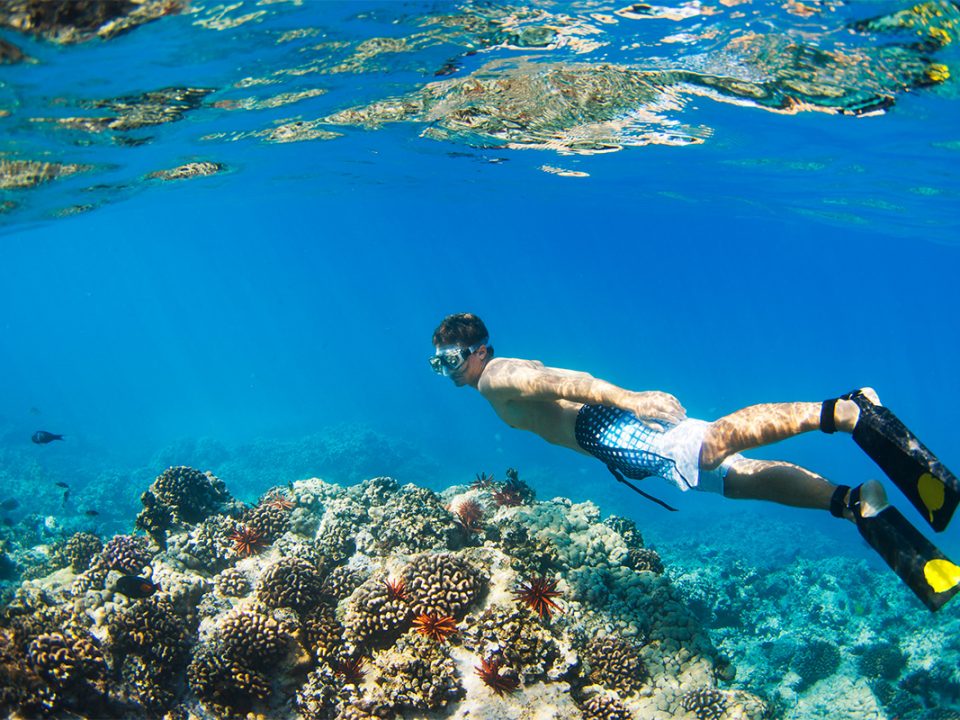 Tempat Snorkeling
