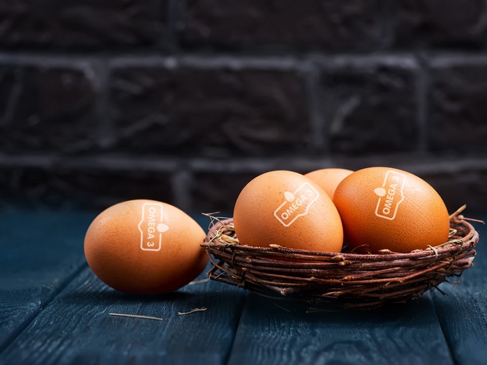 Telur Omega