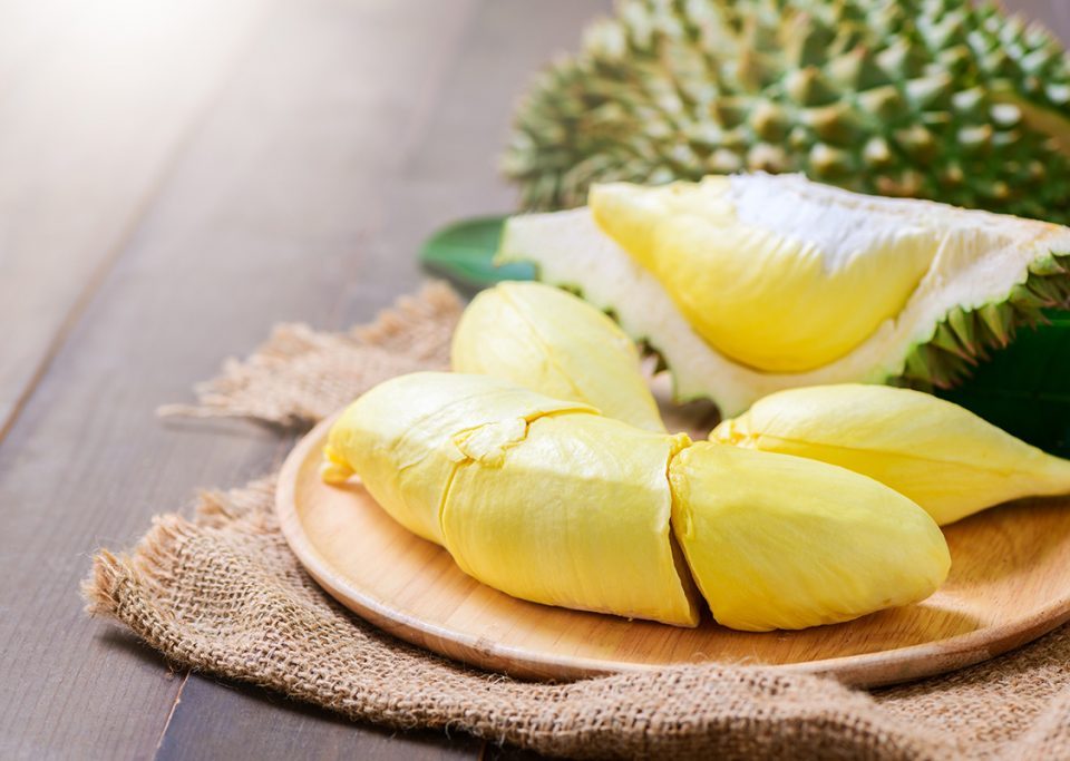jenis durian