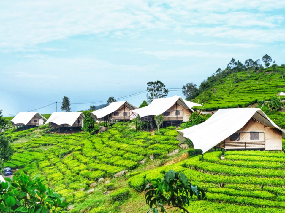 Liburan Akhir Tahun