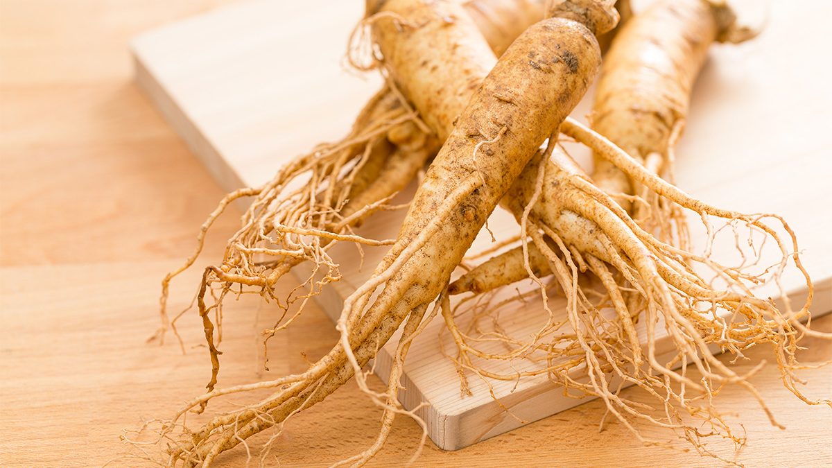 Manfaat Ginseng
