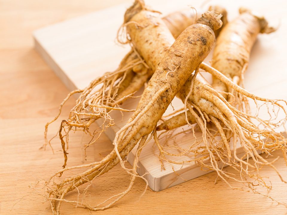 Manfaat Ginseng