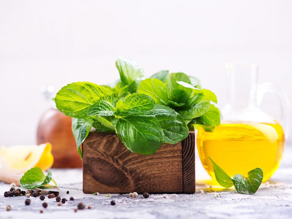 Manfaat Daun Mint