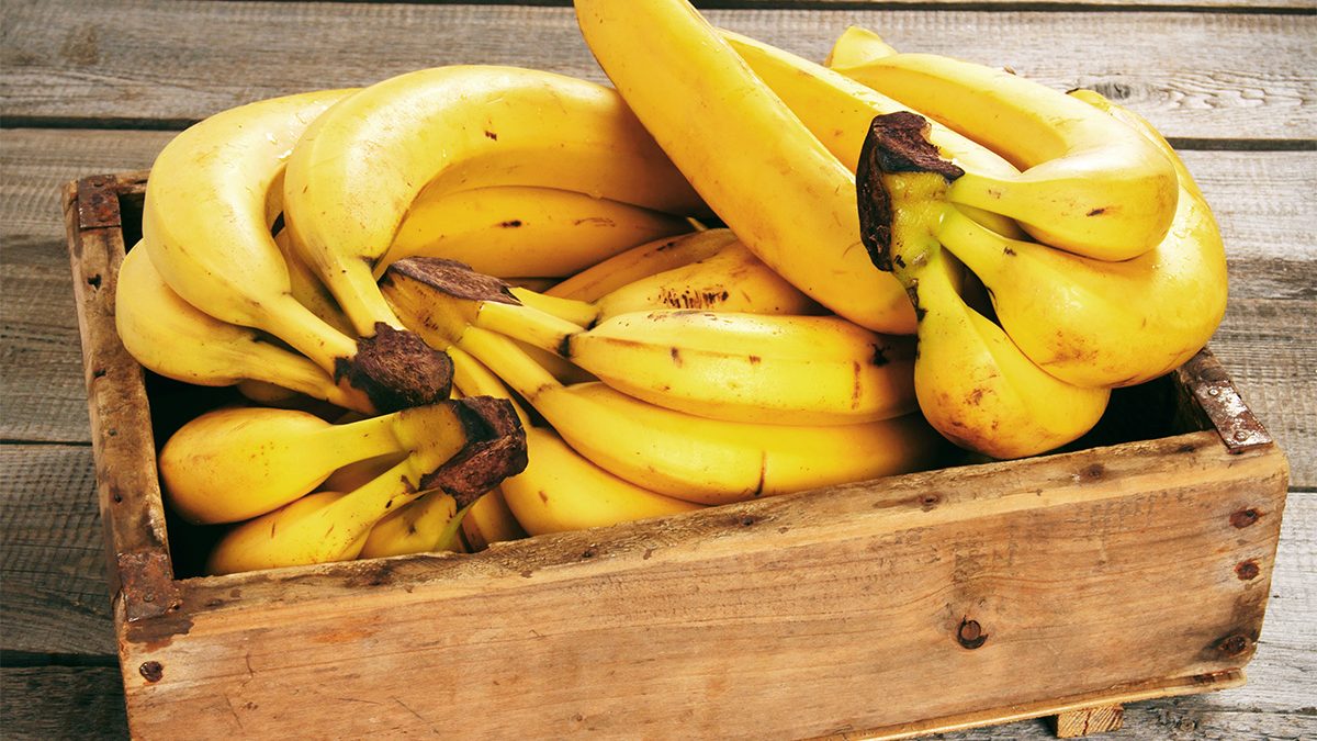 Menyimpan pisang