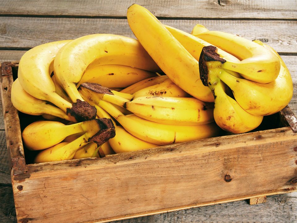 Menyimpan pisang