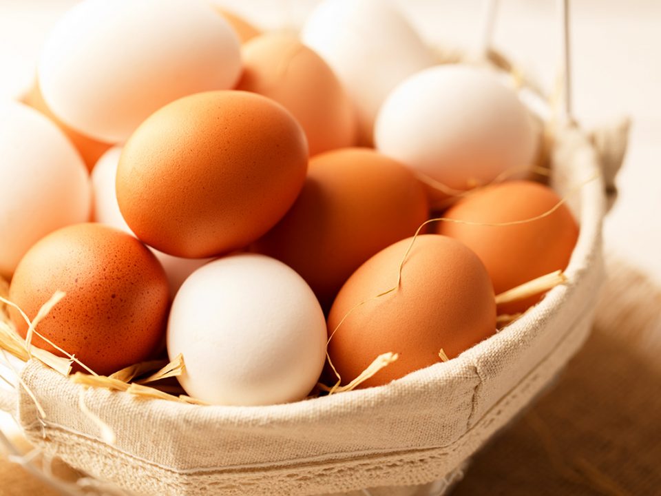 Makanan bikin kenyang telur