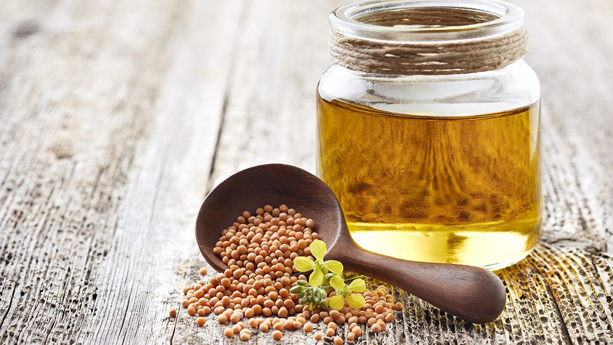 Manfaat Minyak Canola