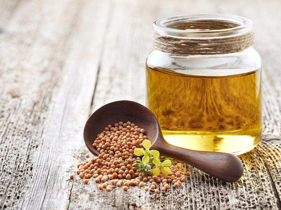 Manfaat Minyak Canola