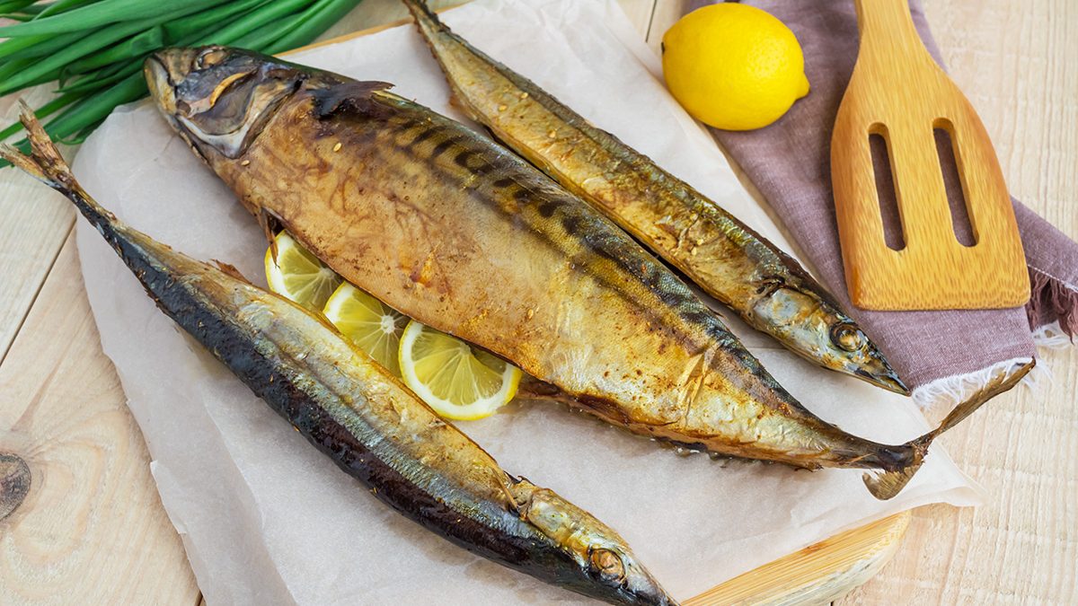Manfaat Ikan Tenggiri