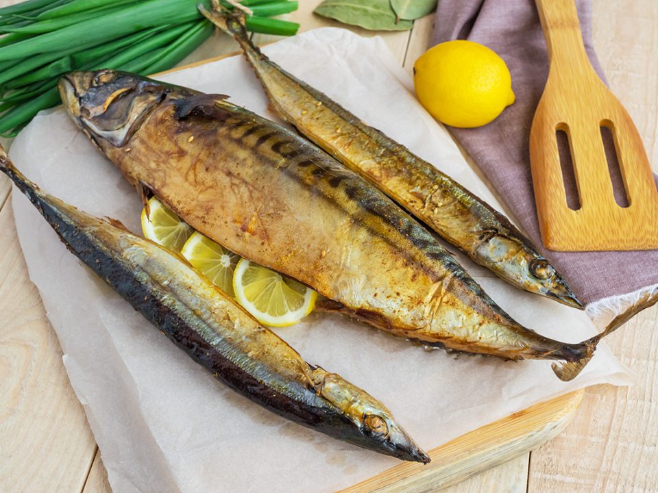 Manfaat Ikan Tenggiri