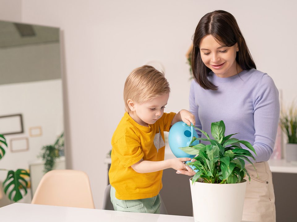 Anak berkebun