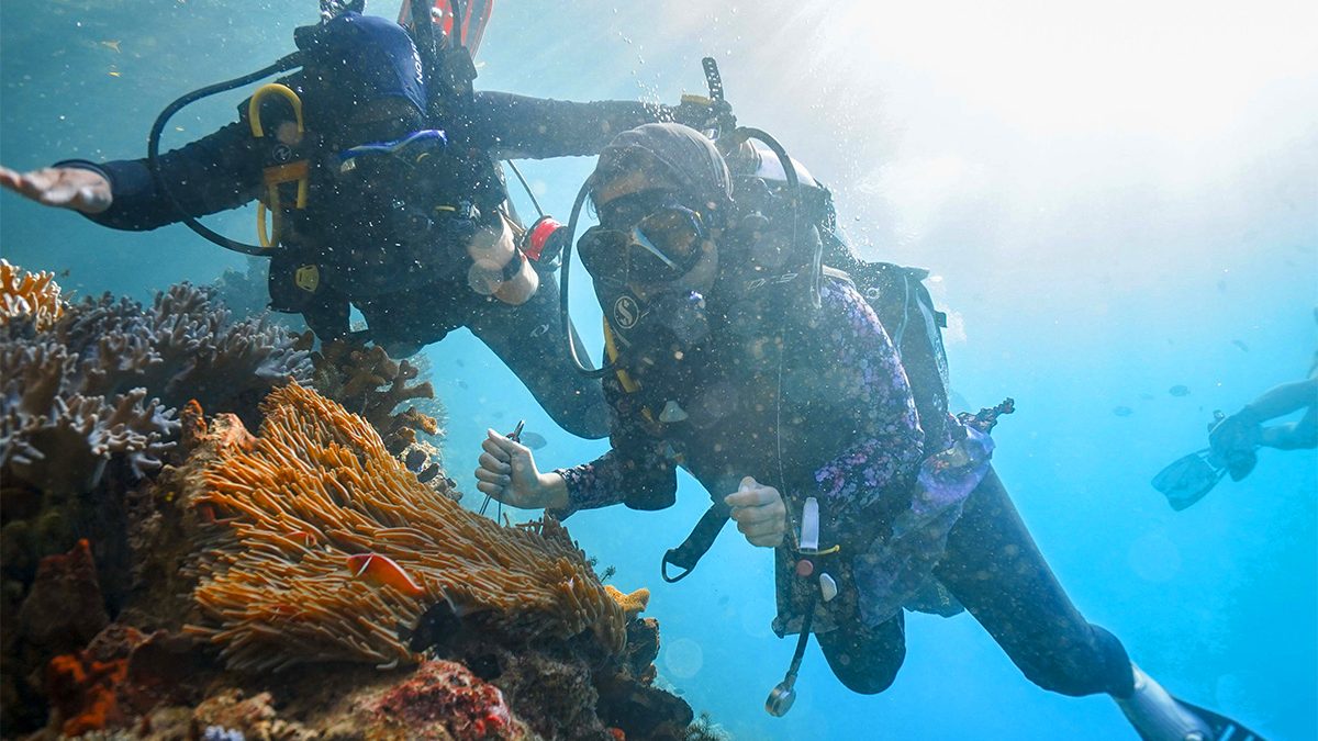 Menyelam di Raja Ampat