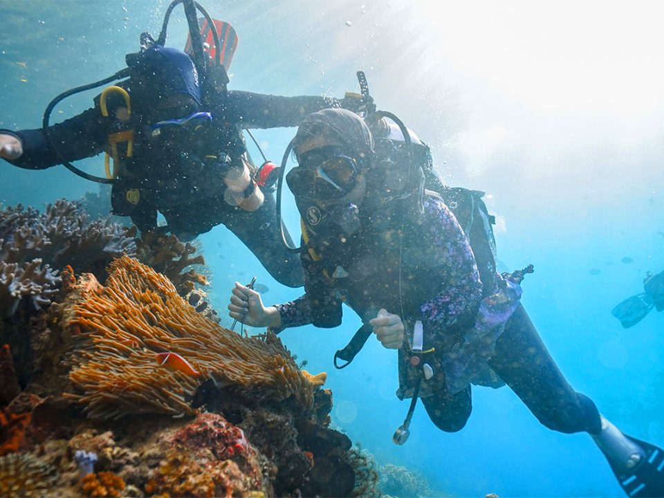 Menyelam di Raja Ampat