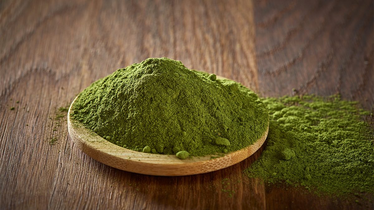 Manfaat masker daun kelor