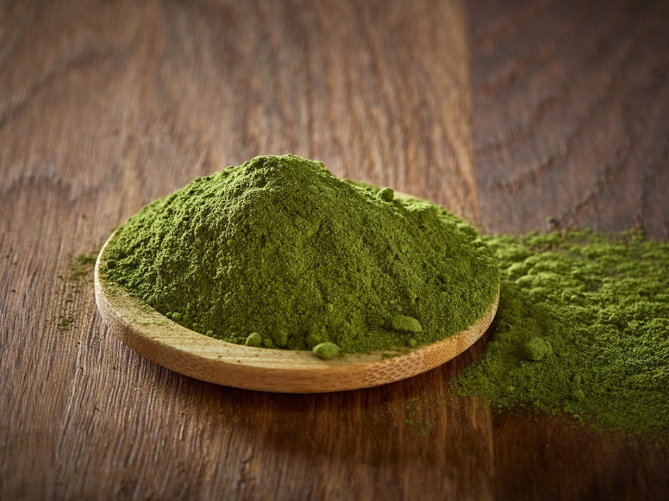 Manfaat masker daun kelor