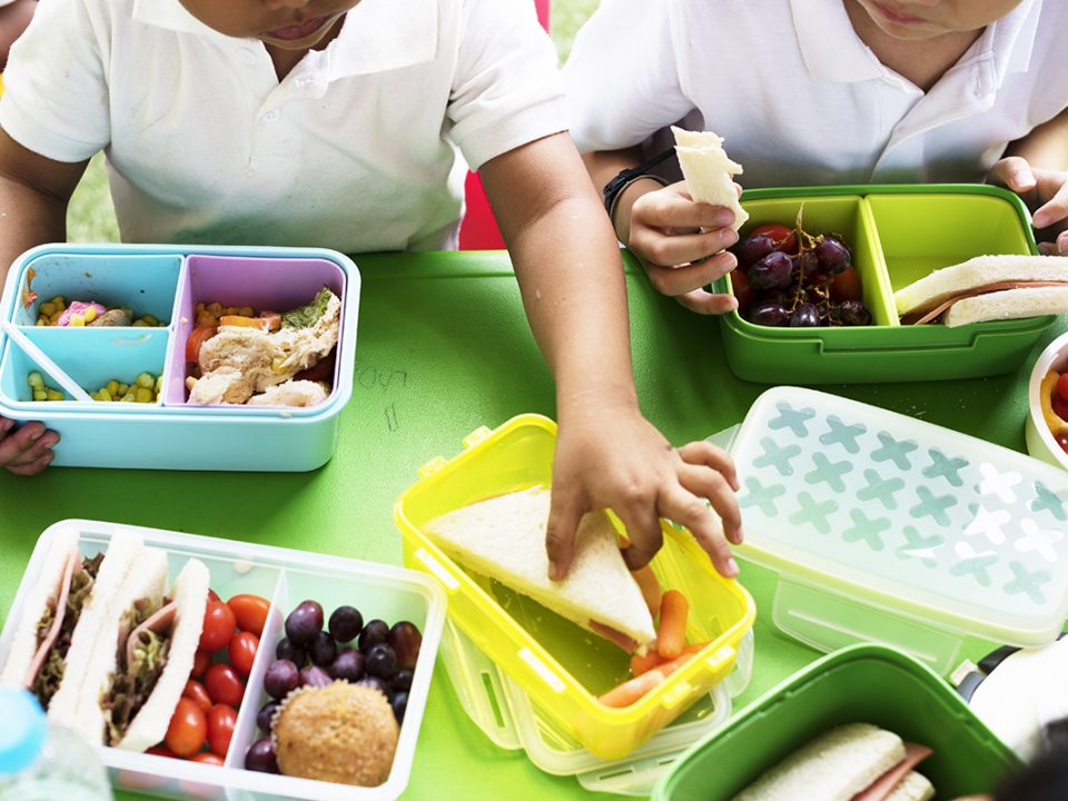 Membersihkan tempat makan