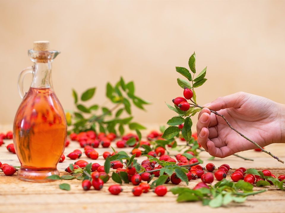 Manfaat rosehip oil