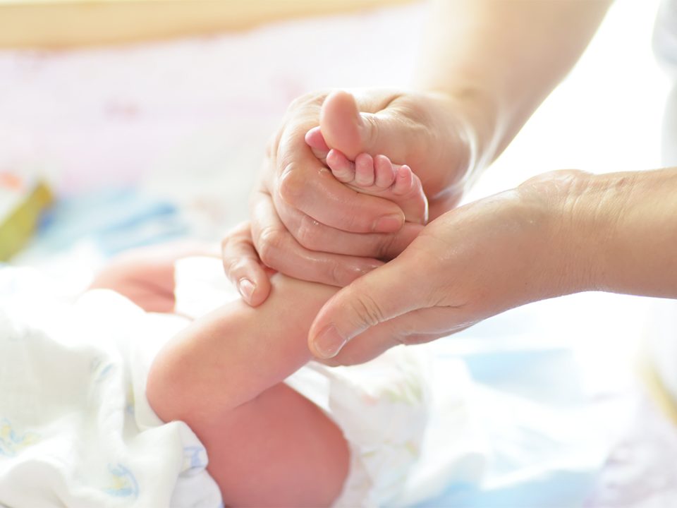 Minyak Zaitun Bayi