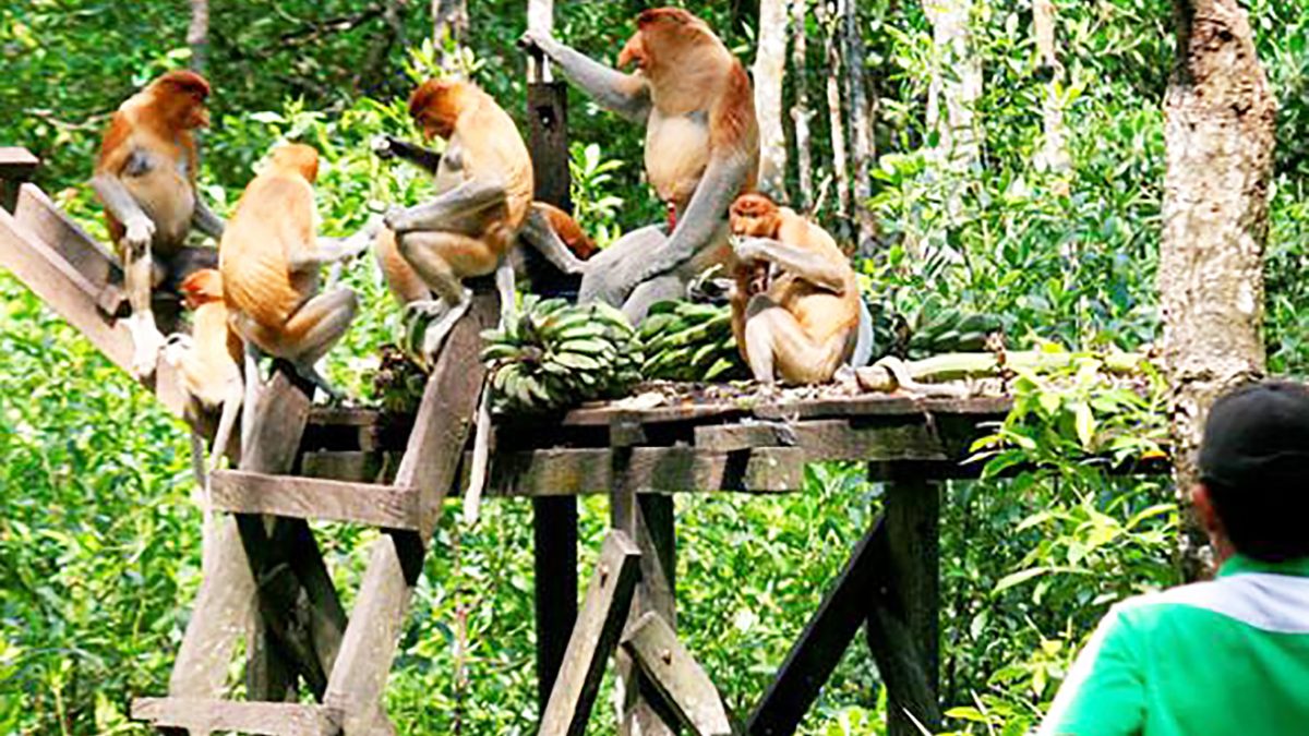 Wisata di Tarakan