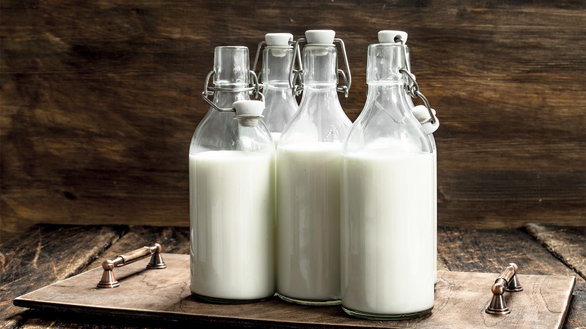 Susu untuk tanaman