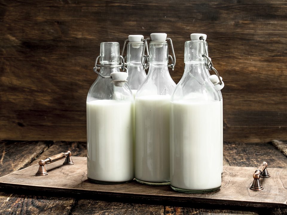 Susu untuk tanaman