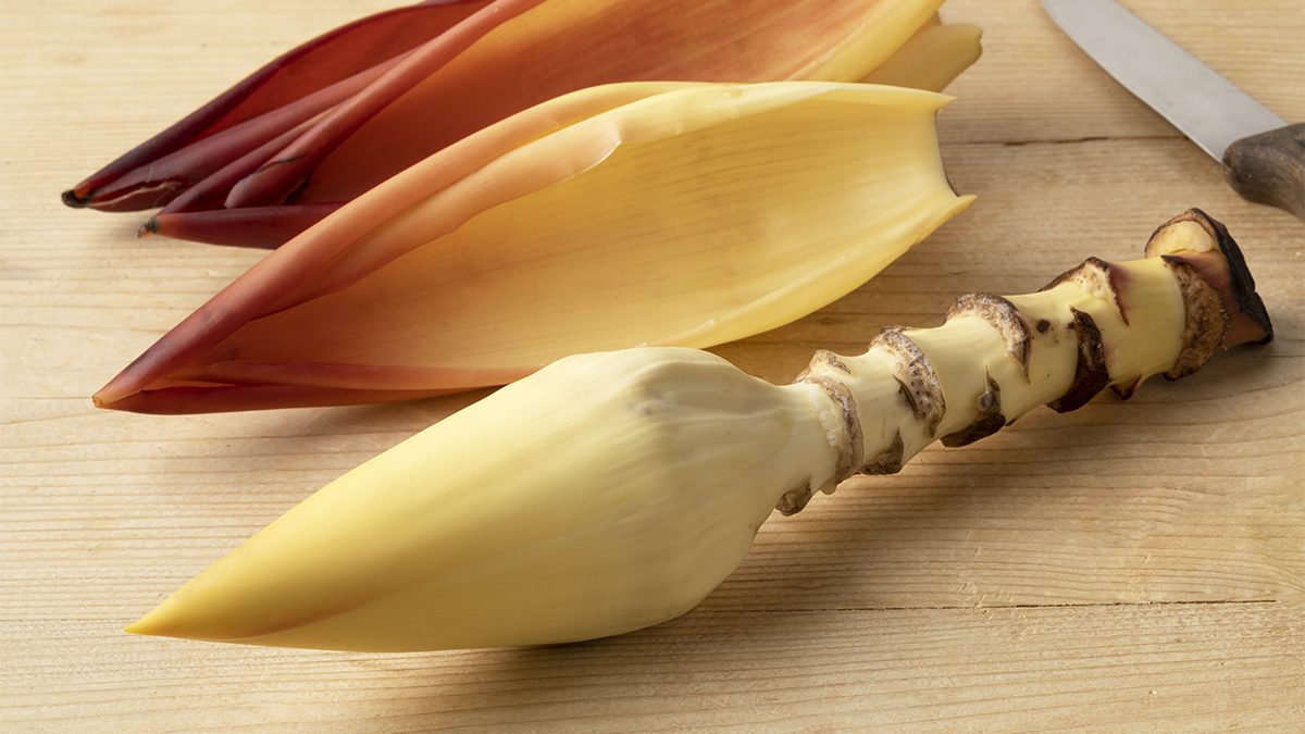 Manfaat Jantung Pisang