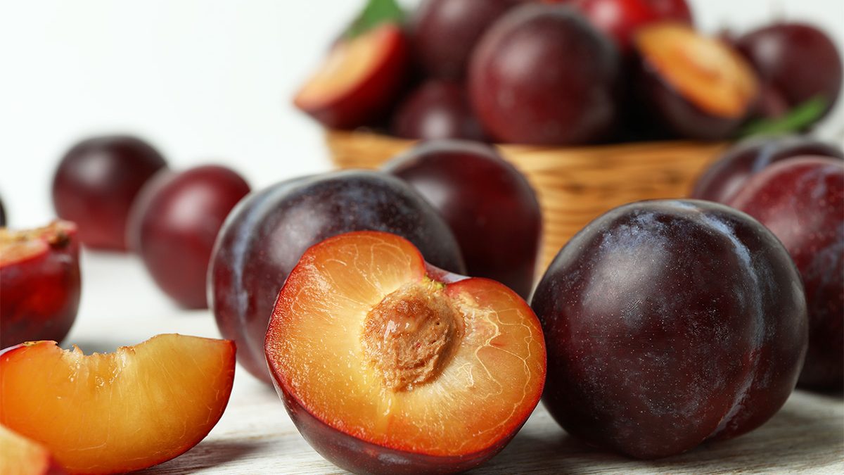 Plum Ibu Hamil