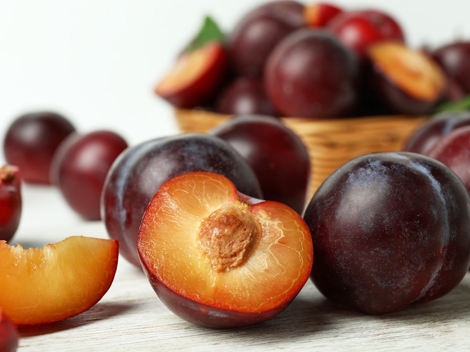 Plum Ibu Hamil
