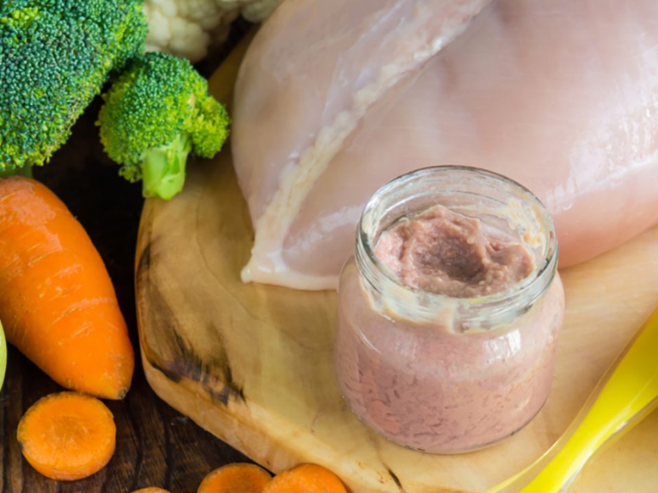 Protein hewani