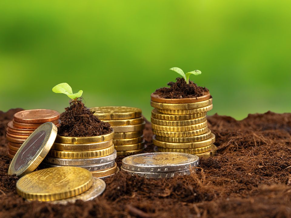 Investasi rendah risiko
