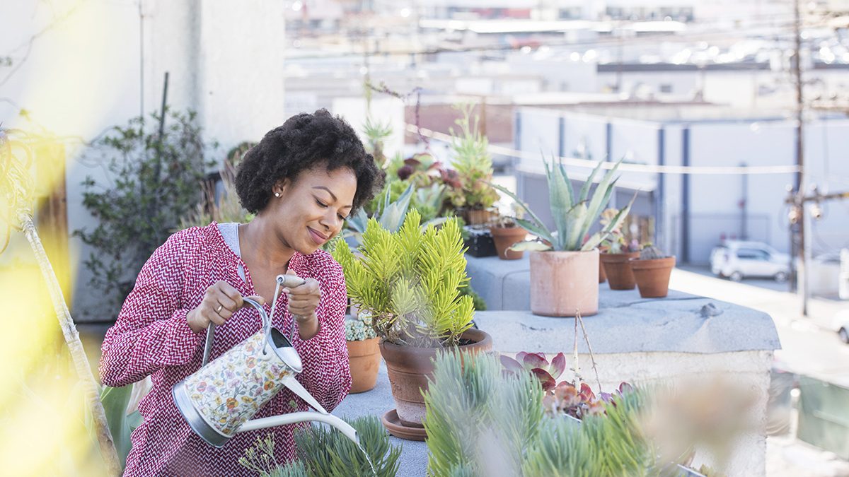 Manfaat Rooftop Garden