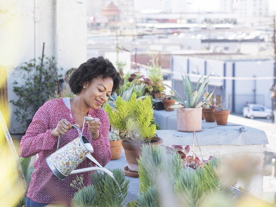 Manfaat Rooftop Garden