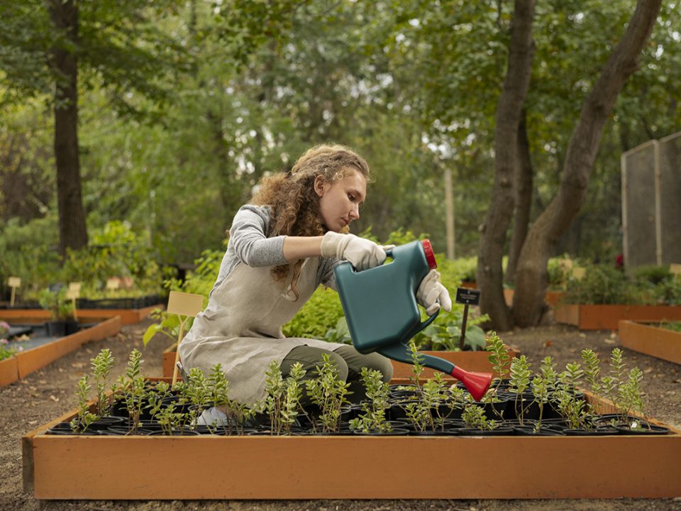 Urban Farming