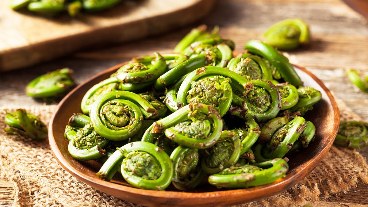 Manfaat Sayur Pakis
