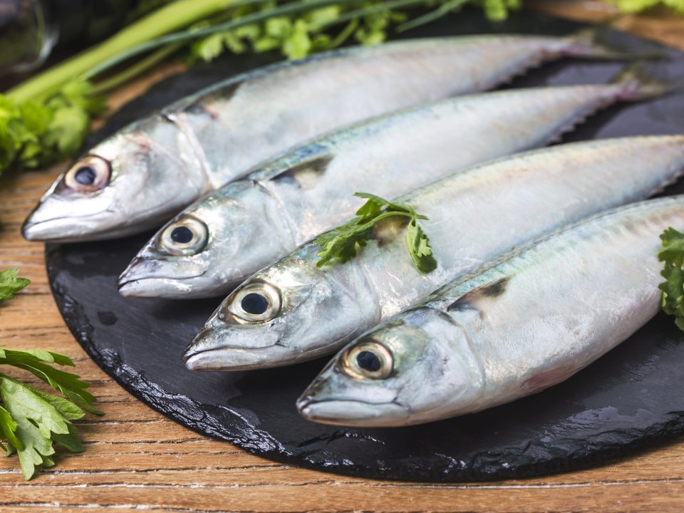 Manfaat Ikan Kembung