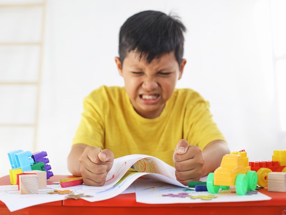 Anak Temperamental