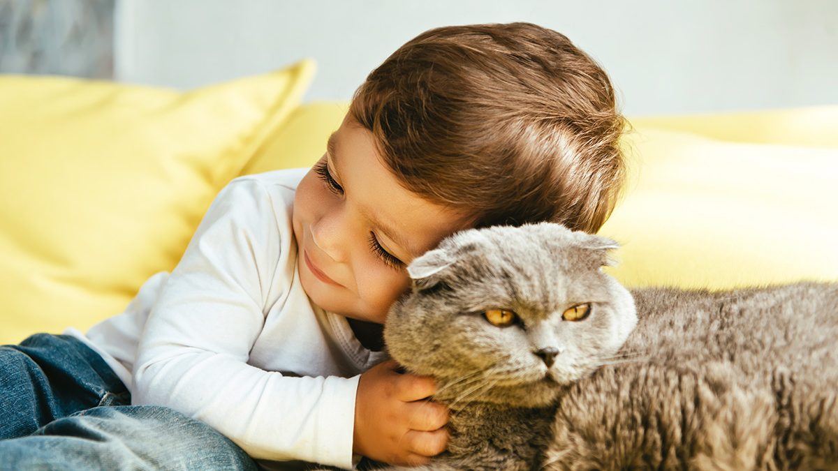 Manfaat Kucing Untuk Anak