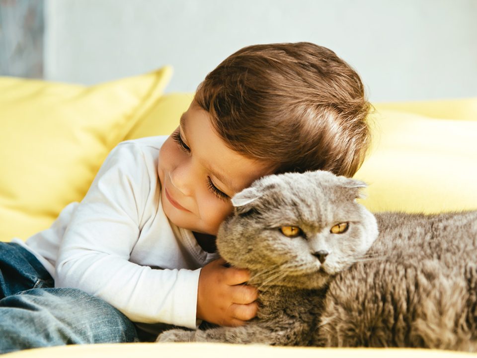 Manfaat Kucing Untuk Anak