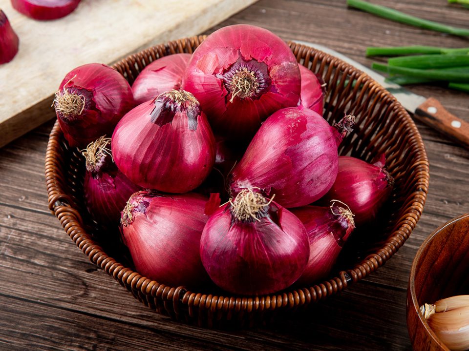 Kulit Bawang Merah untuk Tanaman