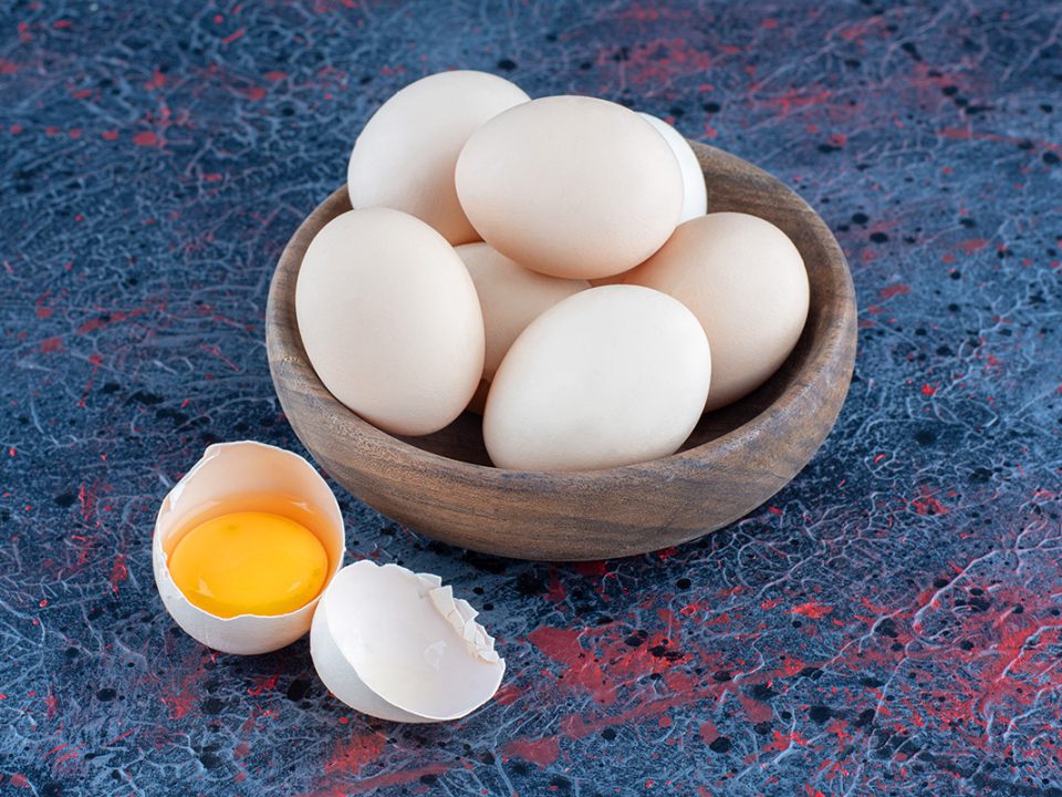 Telur yang bagus