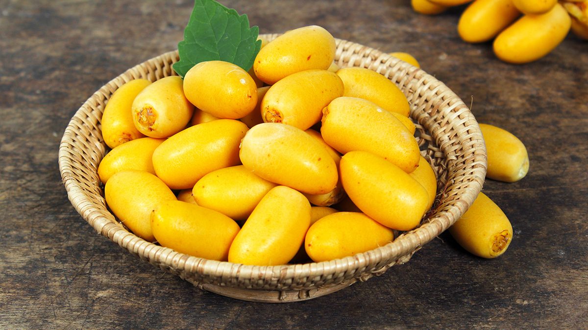 Kurma Muda Untuk Promil