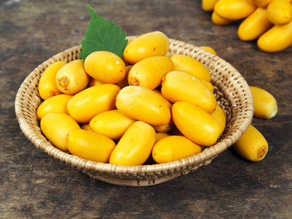 Kurma Muda Untuk Promil