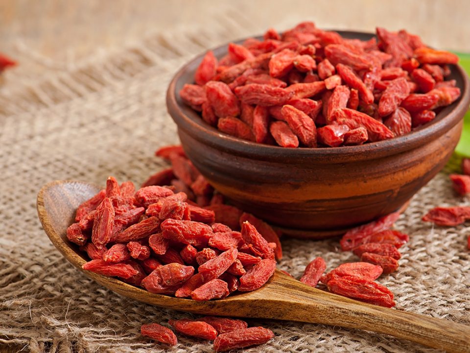 Manfaat Goji Berry